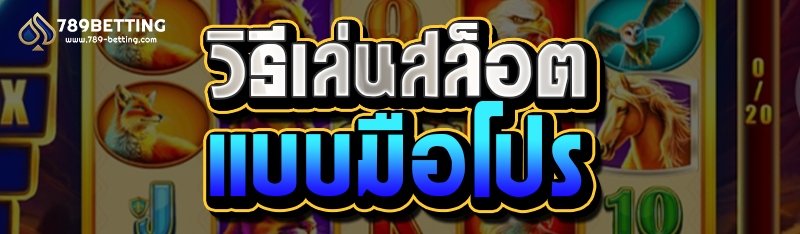 วิธีเล่นสล็อตแบบมือโปร